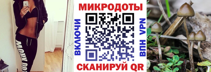 Псилоцибиновые грибы Cubensis Усть-Джегута