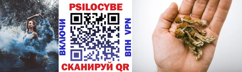 площадка официальный сайт  Усть-Джегута  Псилоцибиновые грибы Psilocybine cubensis 