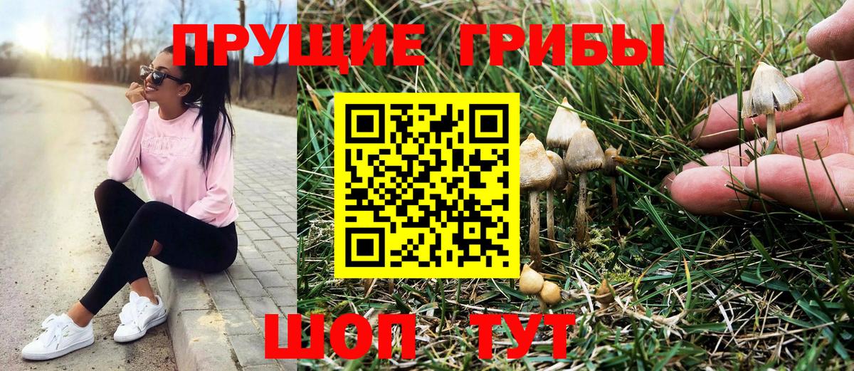 Усть-Джегута  Псилоцибиновые грибы прущие грибы  Вход с VPN 