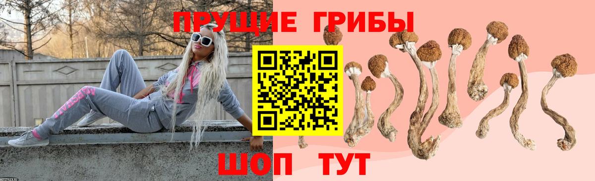 Псилоцибиновые грибы Magic Shrooms Усть-Джегута
