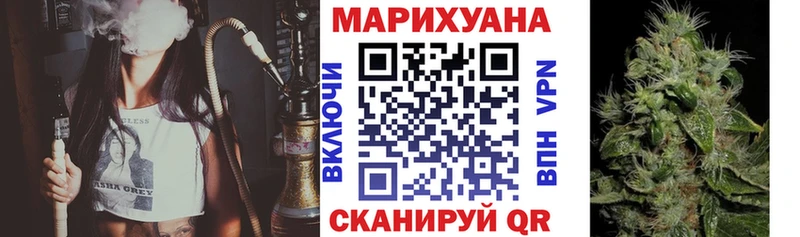 Конопля гибрид  Усть-Джегута 