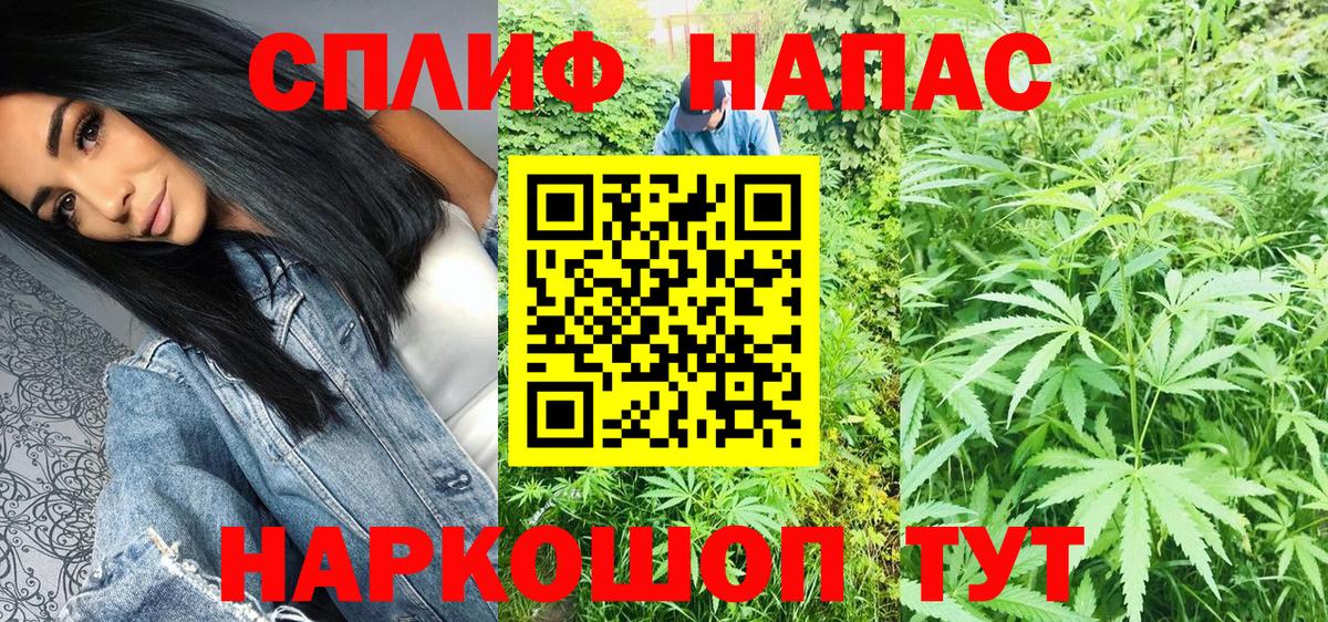 Бошки марихуана Bruce Banner  Вход с VPN  Усть-Джегута  Бошки марихуана индика  Марихуана семена 