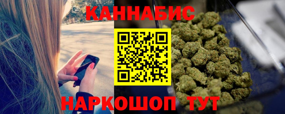 Каннабис White Widow Усть-Джегута